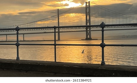 Bridge bird river firth sun sky dusk clouds railing reflection road bridge landmark architecture travel water view scenic shadow waves glide seagull Scotland Queensferry south tourism yellow grey out,