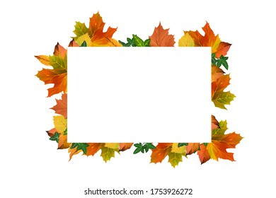 Bright Drawn Autumn Frame. Golden Autumn Clip Art On White Background