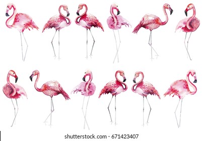 Bright lovely tender gentle sophisticated wonderful tropical hawaii animal wild summer beach pink flamingos pattern watercolor hand sketch. Perfect for greetings card, textile, wallpapers
