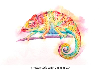 3,651 Watercolor Chameleon Images, Stock Photos & Vectors | Shutterstock