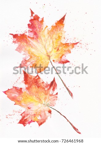 Similar – Autumn foliage I