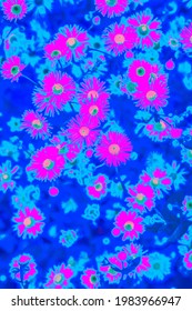 Bright Pink Neon Colored Summer Flowers In Abstract Style On Dark Blue Background. Night Club Party Poster, Rave Festival Or Disco Dance Flyer Design Template. Vaporwave Modern Floral Pattern