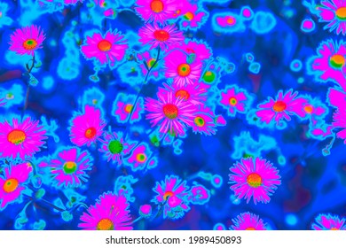 Bright Pink Neon Colored Summer Flowers In Abstract Style On Dark Blue Background. Night Club Party Poster, Rave Festival Or Disco Dance Flyer Design Template. Vaporwave Modern Floral Pattern