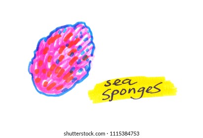 Bright Pink Sea Sponge Painted In Highlighter Felt Tip Pen On Clean White Background