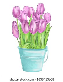 Bright pink tulips with green leaves in blue bucket. Cute spring bouquet. Floral composition.