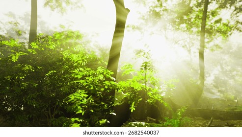 Bright rays of sunlight penetrate through vibrant green leaves in a tranquil forest. The atmosphere is calm, showcasing the beauty of nature during a peaceful morning.