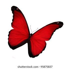 Bright Red Butterfly, Isolated On White