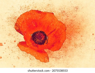 Bright red wild poppy flower, paper texture background, photomanipulation, digital watercolor effect.