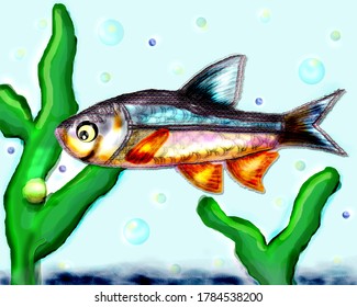 Bright river curious fish smiles. High quality illustration. It is used in postcards, books, posters, calendars, Images on t-shirts, clothing, and other Souvenirs. - Powered by Shutterstock