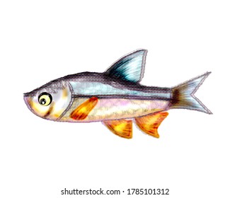 Bright river curious fish smiles. High quality illustration. It is used in postcards, books, posters, calendars, Images on t-shirts, clothing, and other Souvenirs. - Powered by Shutterstock