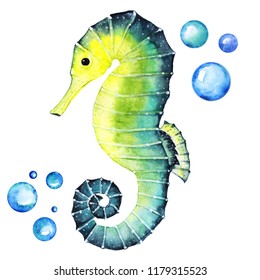 Bright Seahorse with Bubbles Handdrawing Watercolor Illustration a High Resolution