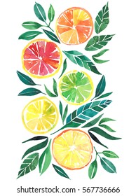 Bright Tropical Citrus Orange Lemon Grapefruit Pattern Watercolor Hand Sketch