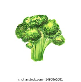 ブロッコリー イラスト 水彩 Images Stock Photos Vectors Shutterstock