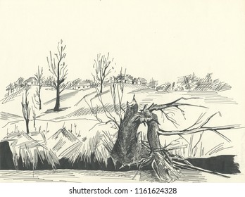 Broken Tree Drawing Stock Illustration 1161624328 