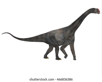 Brontomerus Side Profile 3d Illustration Brontomerus Stock Illustration ...