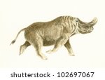 Brontops (Prehistoric Mammal)