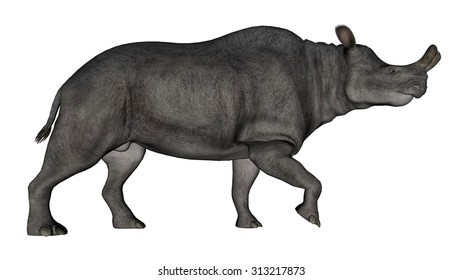 Brontotherium Or Megacerops Dinosaur Walking Isolated In White Background - 3D Render