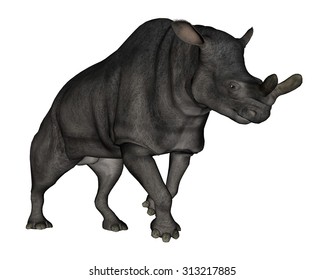 Brontotherium Or Megacerops Dinosaur Walking Isolated In White Background - 3D Render