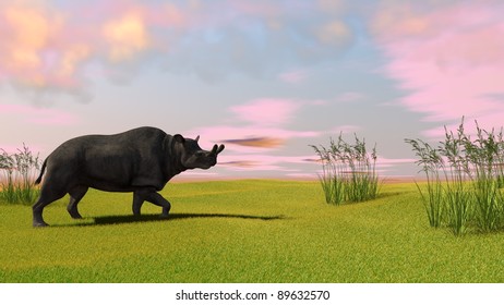 Brontotherium On Field