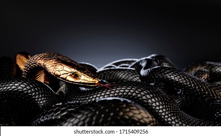 Bronze Or Golden Snake Among Black Snakes. 3D Illustration