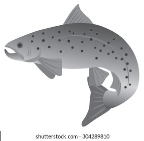 Brook Trout Fish In Grayscale Raster Illustration