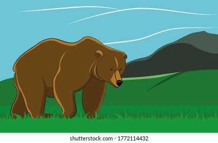 
Brown bear in the mountains