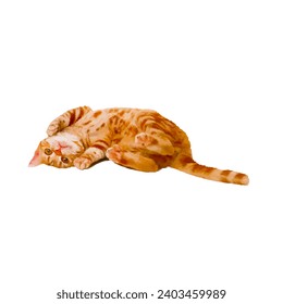 Brown Cute Cat Illustration.
Lazy Kitten Meow Photos, Black Cat, Funny Animal Images.
