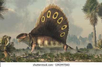 A brown dimetrodon, a prehistoric sail-backed creature that predates the dinosaurs, stands in a permian era wetland bearing its sharp teeth. 3D Rendering
