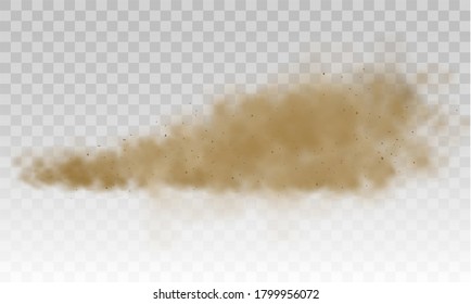 Brown dusty cloud or dry sand flying with a gust of wind, sandstorm. Dust cloud. Flying sand. Scattering trail on track from fast movement. Brown smoke realistic texture illustration.