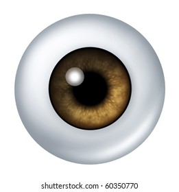 Brown Eye Ball Isolated On White