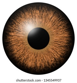 Brown Eye Iris Macro Illustration