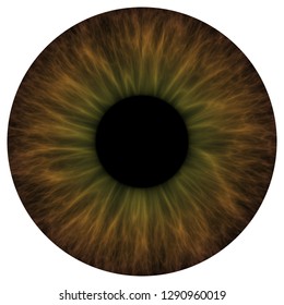 132,742 Bright brown eyes Images, Stock Photos & Vectors | Shutterstock