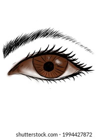 A Brown Eye Is Showing Peace Inside. Drew By Hand 