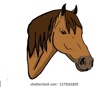 Horse Head Very Surprised Emotion Stock Vector (Royalty Free) 1715384416