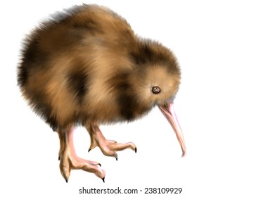 Kiwi Oiseau Images Stock Photos Vectors Shutterstock Kiwi Oiseau Images Stock Photos Vectors Shutterstock