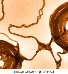 Brown Neuron Anatomy Imitation. Curry Topographic Map Contour. Brownish Science Network Lines. Pumpkin Connected Energy Line. Neurographic Lines. Chocolate Virus Or Bacteria Cells.