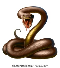 Brown Snake, With Open Mouth