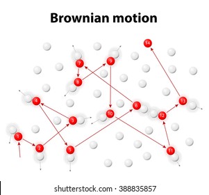 Brownian Motion