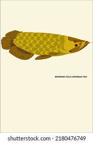 Brownish gold arowana fish image (ferocious ornamental fish)