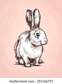 Brush Painting Ink Draw Isolated Rabbit Illustration