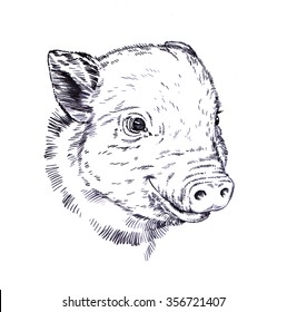 Portrait Rhino Drawn By Hand Pencil Stock Illustration 608920565