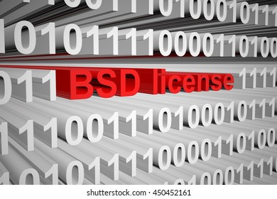 BSD License In The Form Of Binary Code, 3D Illustration