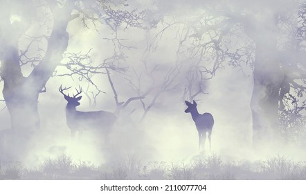 A Buck And A Doe Whitetail Deer Are Seen In A Foggy Forest In Winter In This 3-d Illustration.
