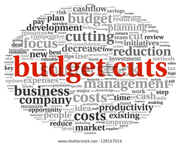 Budget\
preparing in word tag cloud on white\
background