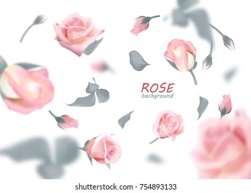 The Buds Of Gently Pink Roses Are Flying In A Whirlwind. Quality Realistic , 3D