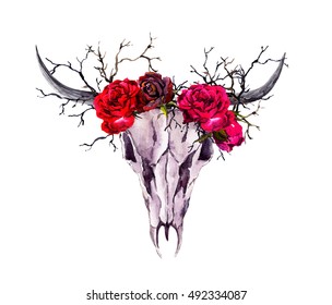 Buffalo animal skull  red roses   branches  Watercolor