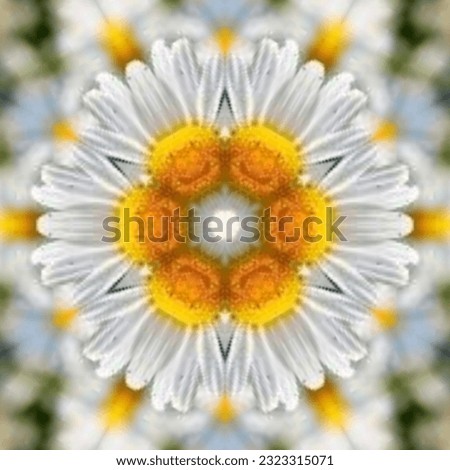 florid Colour photo