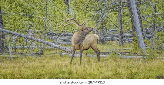 Bull Elk Bugling In Yellowstone National Park,digital Oil Painting