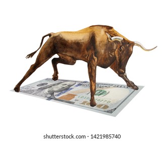 500 Dollar Bull