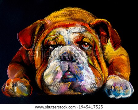 Bulldog pastel portrait. Modern art
